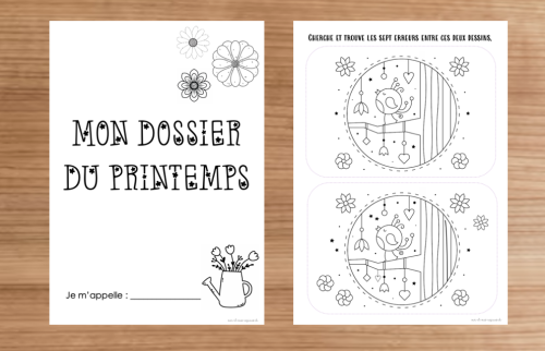Dossier : Printemps 3P 