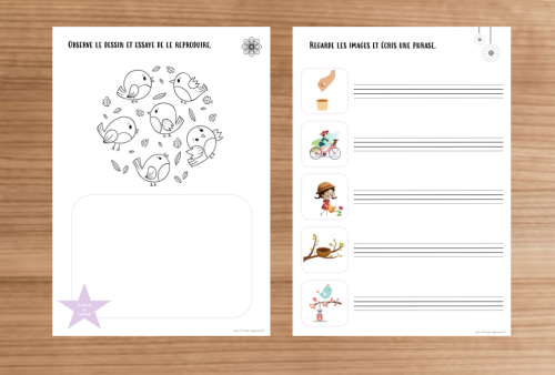 Dossier : Printemps 4P 