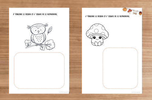 Dossier : Automne 1-2P 