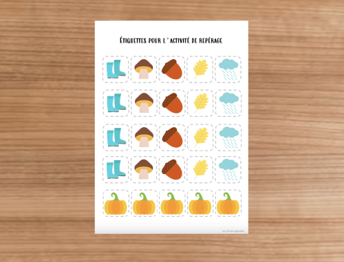 Dossier : Automne 1-2P 
