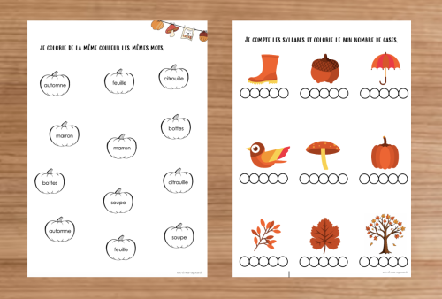 Dossier : Automne 1-2P 
