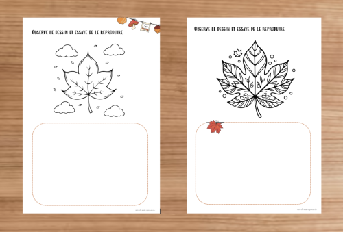 Dossier : Automne 3P 