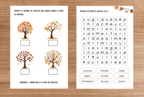Dossier : Automne 4P