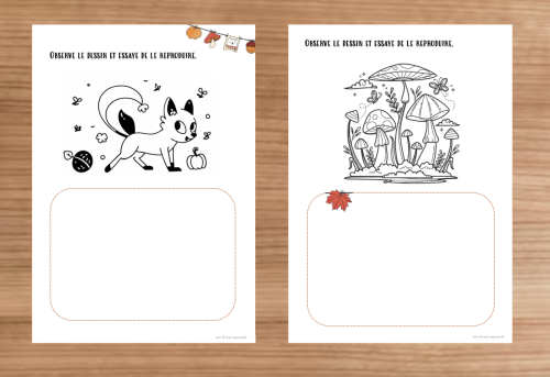 Dossier : Automne 4P