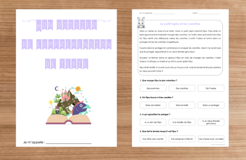 Compréhension de textes 