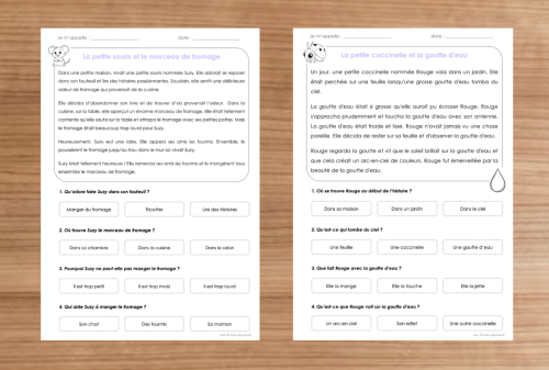 Compréhension de textes 