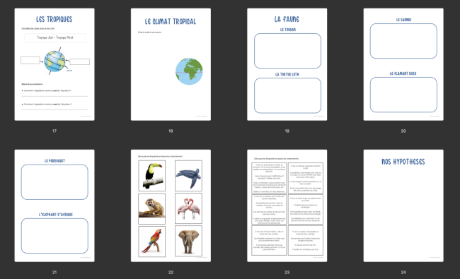 Dossier : Les Tropiques