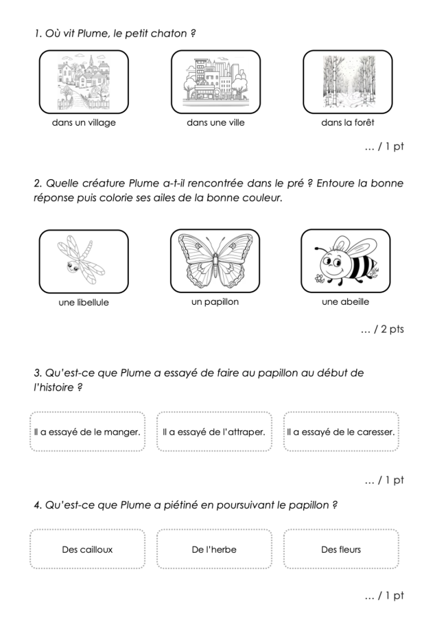 Evaluation FR : Compréhension d'une histoire