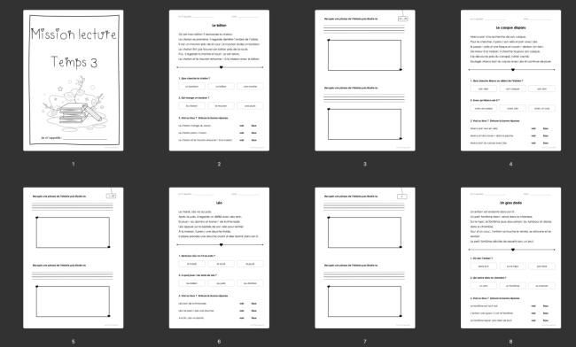 Lecture compréhension : TEMPS 3