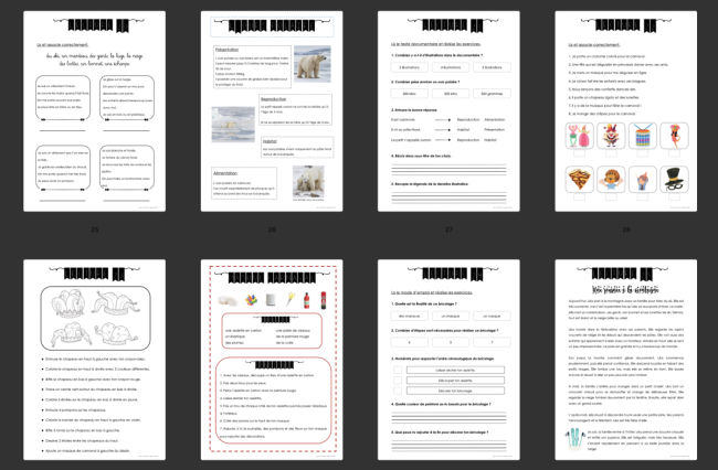 Devoirs : Lecture 4P
