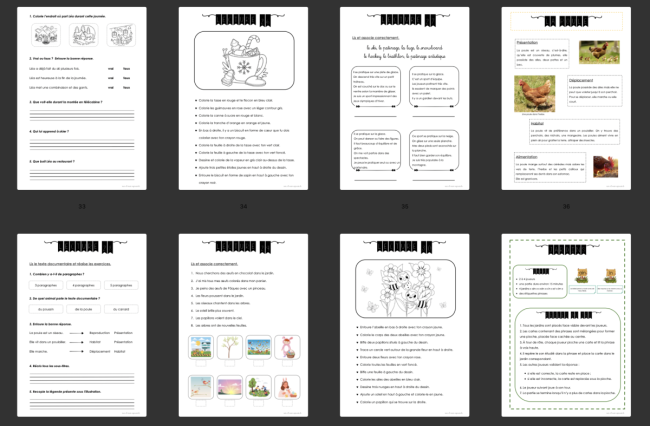 Devoirs : Lecture 4P