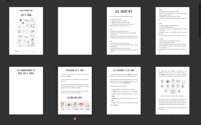 Dossier : les 5 sens 