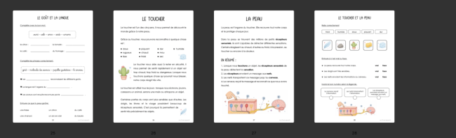 Dossier : les 5 sens 