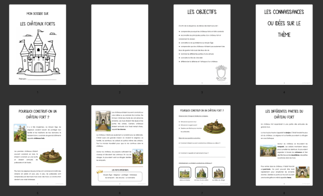 Dossier : Les châteaux forts 